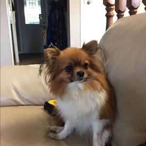 Meet your Posher, Tania